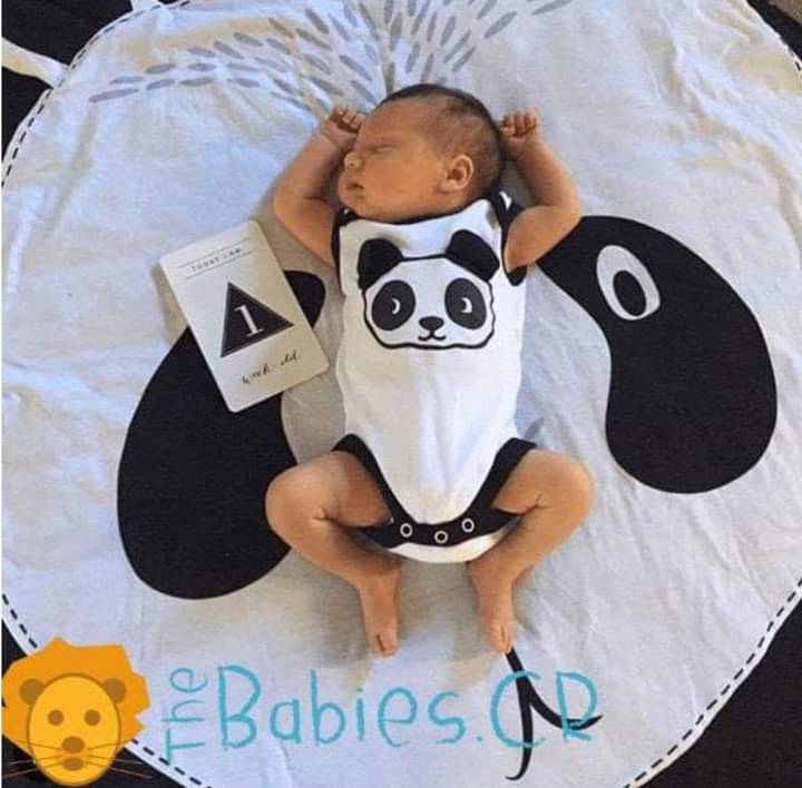 Alfombra circular Panda