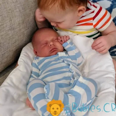 Topponcino_TheBabiesCR