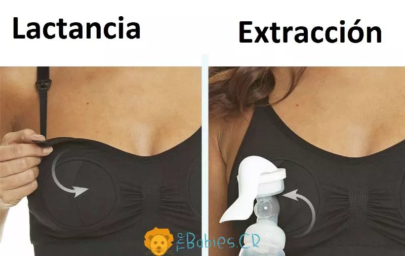 Brasier_top_lactancia_y_extraccion_manos_libres_thebabiescr