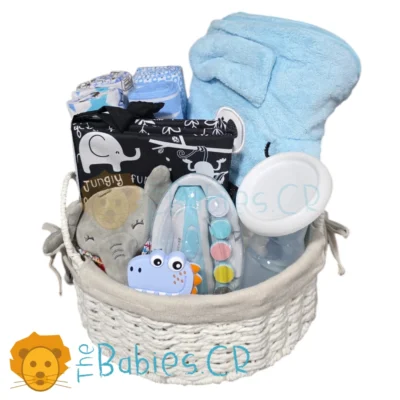 Canasta de Regalo Celeste