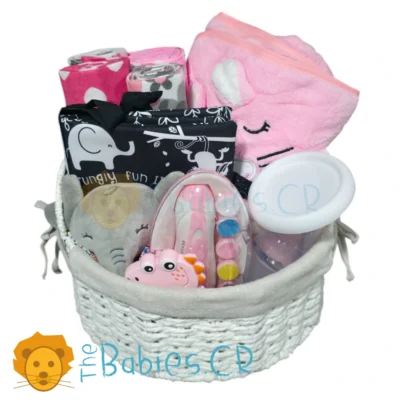 Canasta de Regalo Rosada